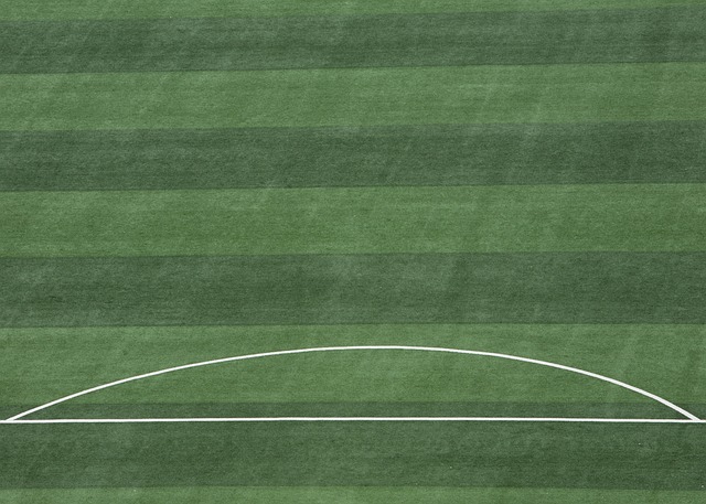 總的來看 總的來看