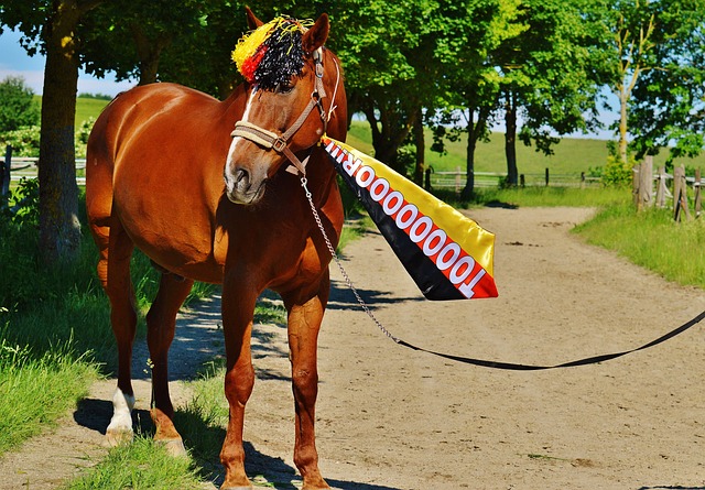 至关重要的 至关重要的