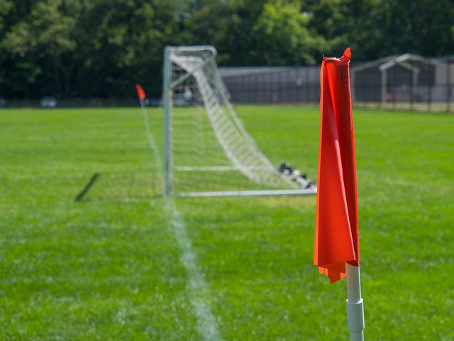 能力稍显不 能力稍显不