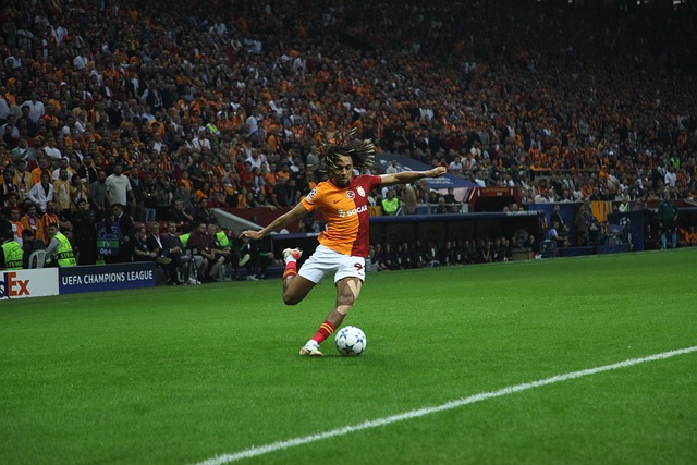 这两项原则 这两项原则