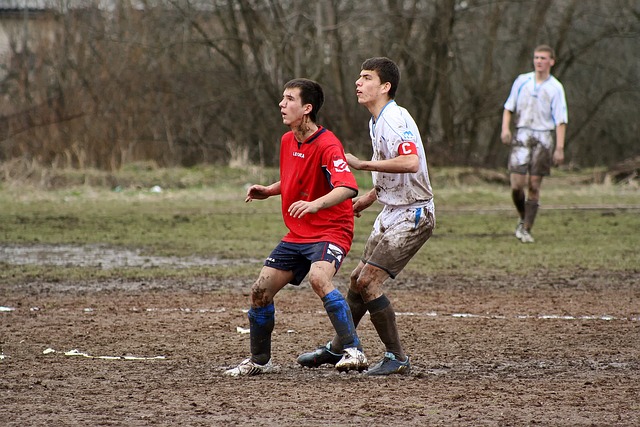 的實力和努 的實力和努