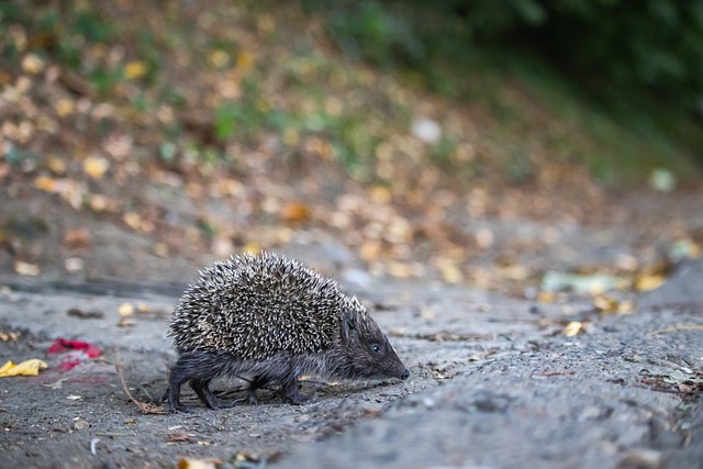 这对提升整 这对提升整